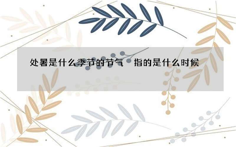 处暑是什么季节的节气 指的是什么时候